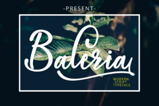 Baleria Script: A Fresh Modern Typeface for Handwritten Branding