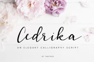 Cedrika: Elegant Script Handwritten Font for Designers