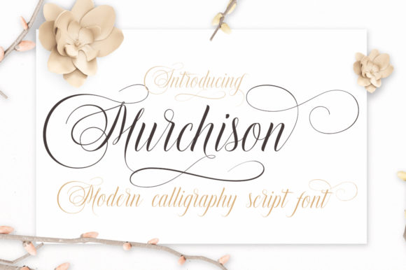 Murchison Font: A Bold Script Handwritten Typeface for Brand Elegance