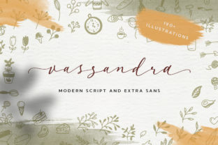 Vassandra Script: A Sweet, Modern Handwritten Font for Small Business Branding