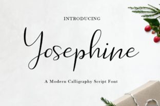 Yosephine Script: A Playful Yet Polished Script Handwritten Font for Small Business Branding